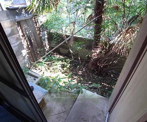 Balcony. Also in the home garden with planters