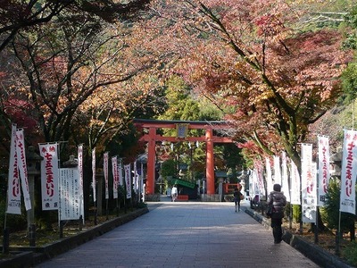 Other. Matsuo is the approach to a shrine of Taisha 350m up to (other)