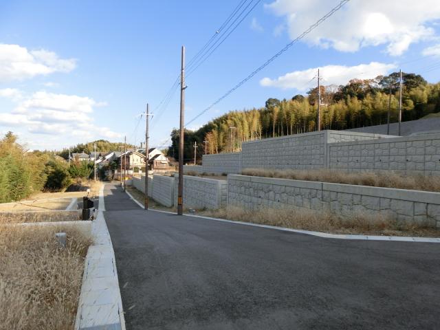 Local land photo. It is residential land already developed!