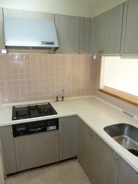 Kitchen. Indoor (11 May 2013) Shooting