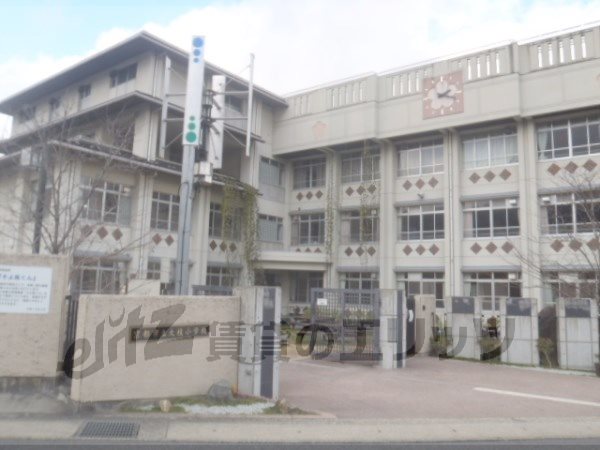 Primary school. Bough 400m up to elementary school (elementary school)