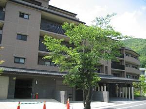 Local appearance photo. Local (August 2013) Shooting