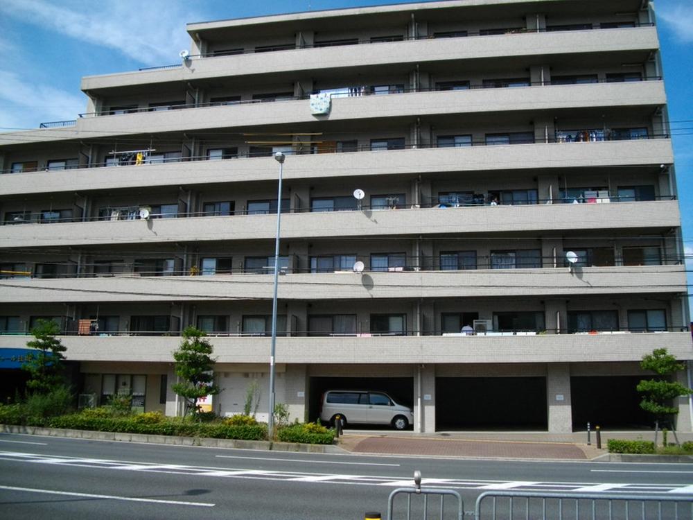 Local appearance photo. Local (11 May 2012) shooting