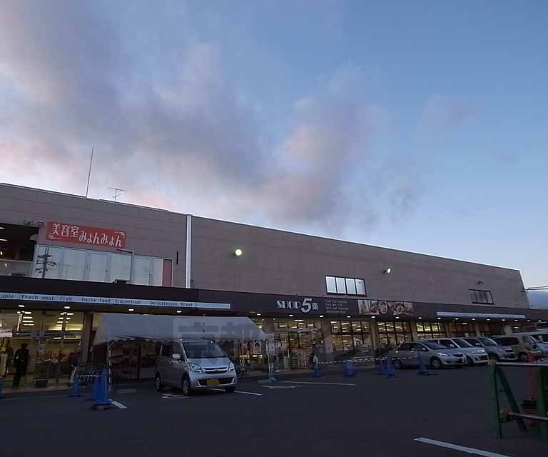 Supermarket. Shop Article 5 until the (super) 140m