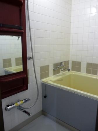 Bathroom. Local (July 2012) shooting