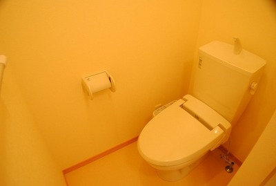 Toilet. Toilet