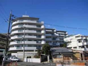 Local appearance photo. Local (10 May 2012) shooting