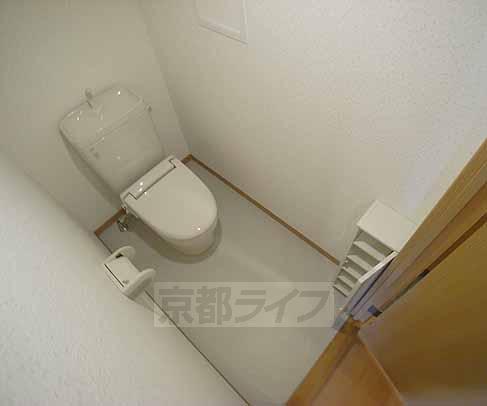 Toilet. Laid-back space