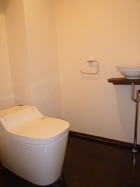 Toilet. Indoor (2013 11) shooting