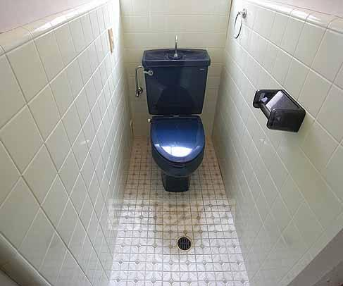 Toilet. It is Blue