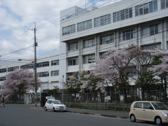 University ・ Junior college. Kyoto Saga University of Arts (University of ・ 1800m up to junior college)