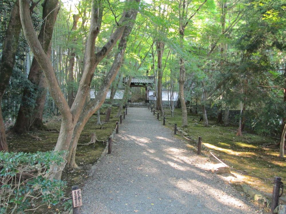Other Environmental Photo. Temple of bamboo 80m to Jizo Council