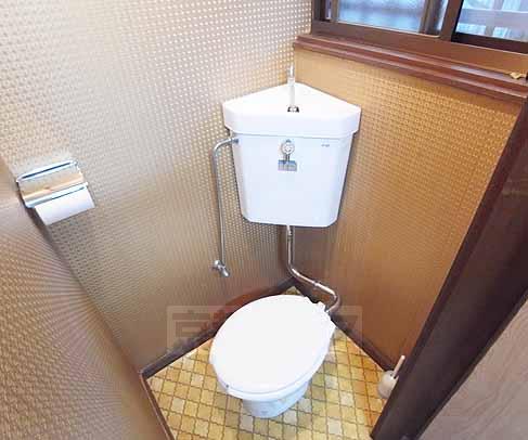 Toilet. Western-style toilet. It is attached to each room