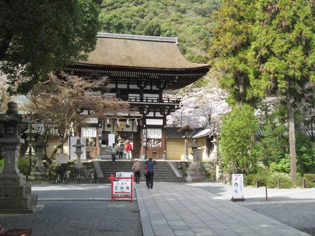 Other Environmental Photo. 260m to Matsuo Taisha