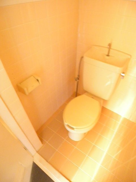 Toilet. Looking for room to house network Sakyo shop!