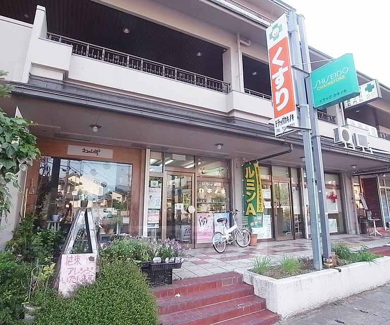 Dorakkusutoa. Diospyros Iwakura shop 340m until (drugstore)