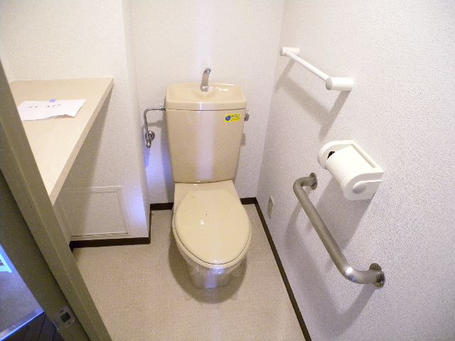 Toilet. I think it will be saved and there is also a little handrail