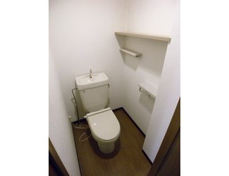 Toilet. Toilet