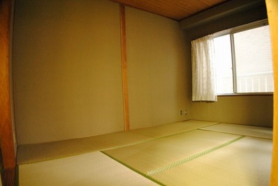 Living and room. Japanese-style room 2