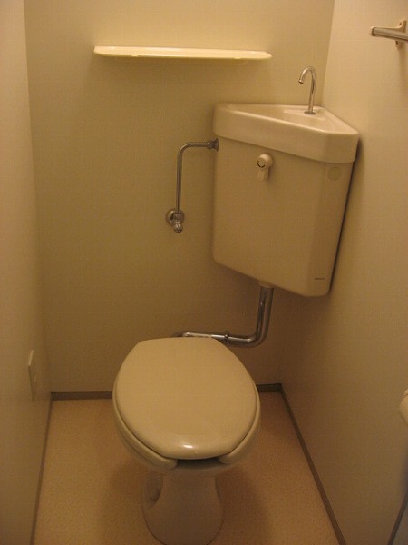 Toilet. During replacement in all of room temperature water toilet seat