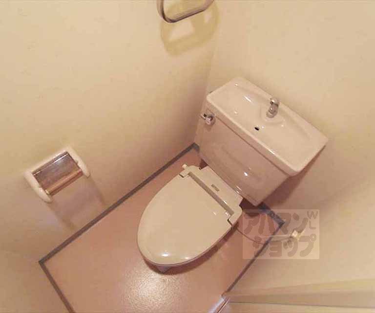 Toilet. It is a separate type of toilet