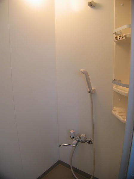 Other. It is a joint shower room