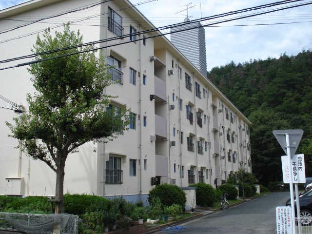 Local appearance photo. Local (12 May 2013) Shooting