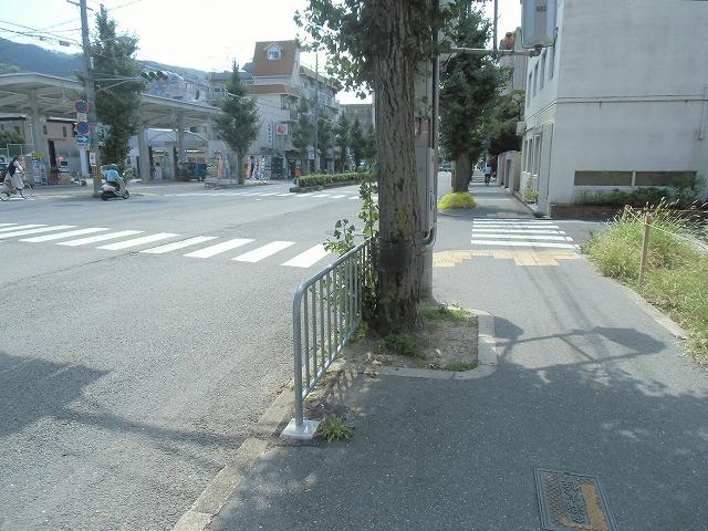 Local photos, including front road