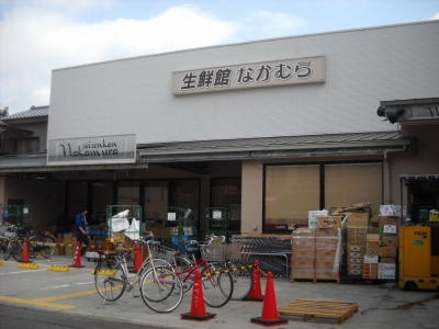 Supermarket. 270m to super (fresh Museum Nakamura Ichijouji store) (Super)
