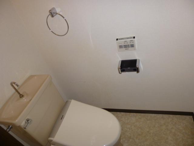 Toilet. Indoor (January 2013) Shooting