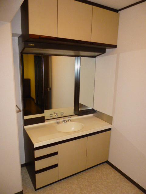 Wash basin, toilet. Indoor (January 2013) Shooting