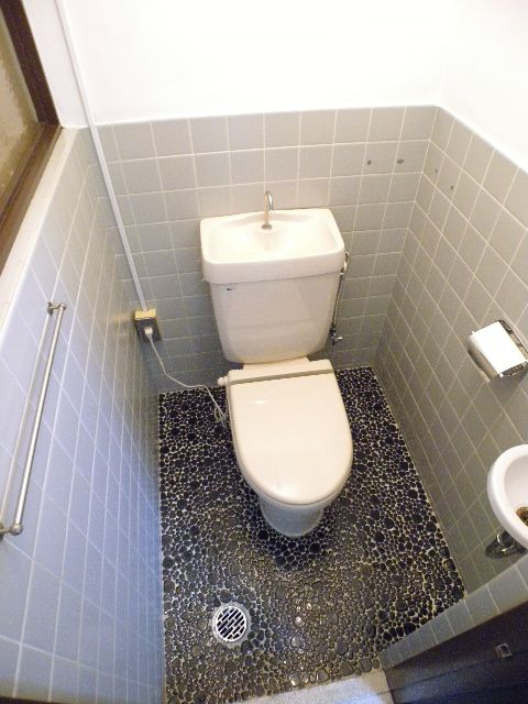 Toilet. Looking for room to house network Sakyo shop!