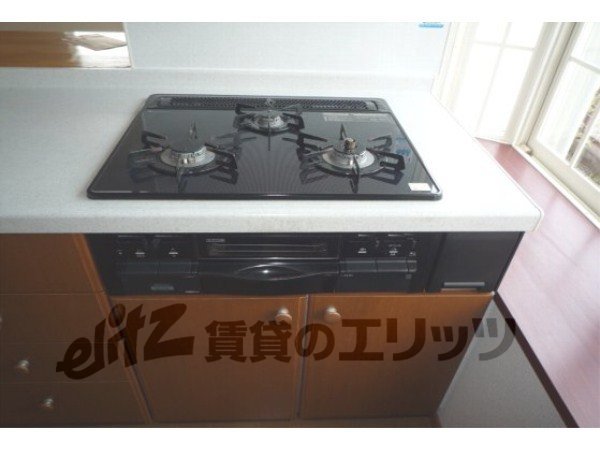 Kitchen. Gas 3-burner stove