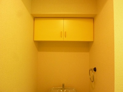 Toilet. There is a storage rack