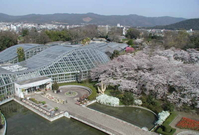 Other. 264m up to Kyoto Botanical Garden (Other)