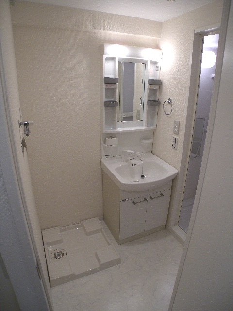 Washroom. Looking for room to house network Sakyo shop!