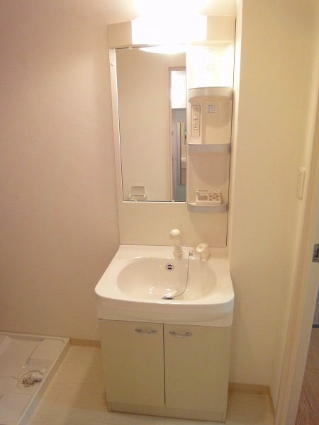 Washroom. Shampoo dresser