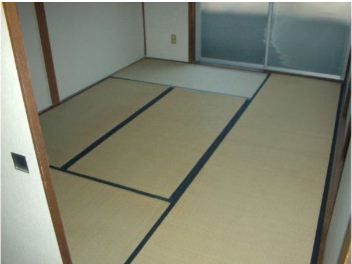 Living and room. Healing of Japanese-style room