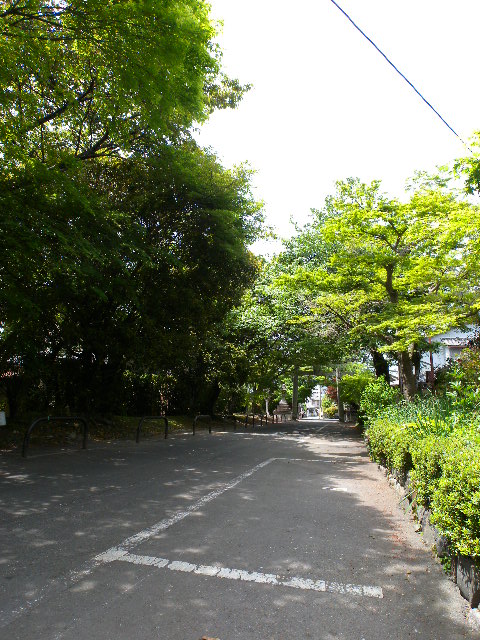 View. Green is the rich recommended location.