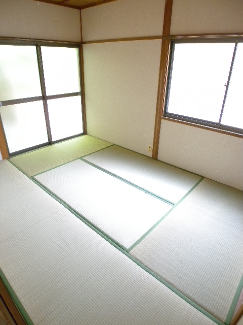 Living and room. Bright two-sided lighting Japanese-style room