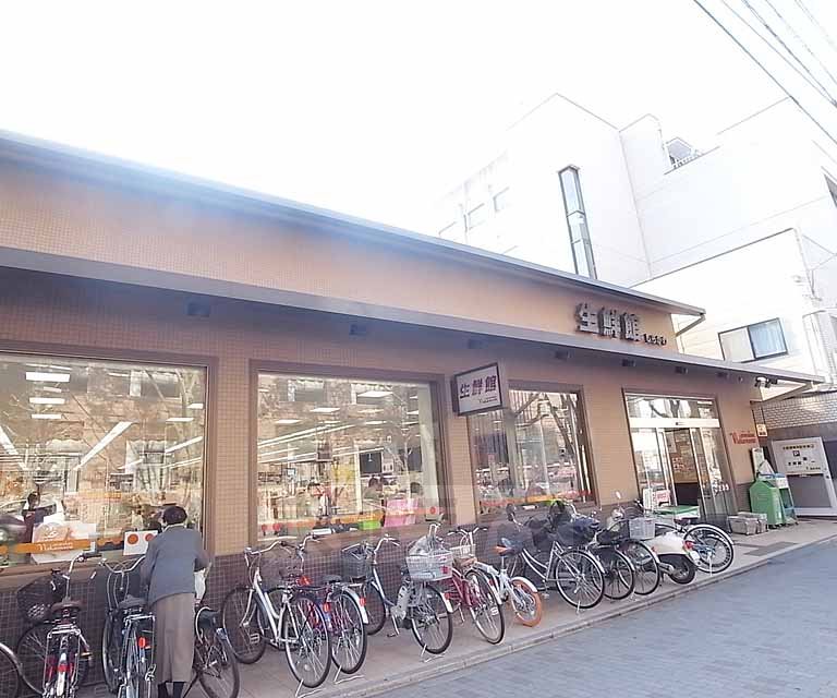 Supermarket. 250m until fresh Museum Nakamura Shirakawa shop (super)