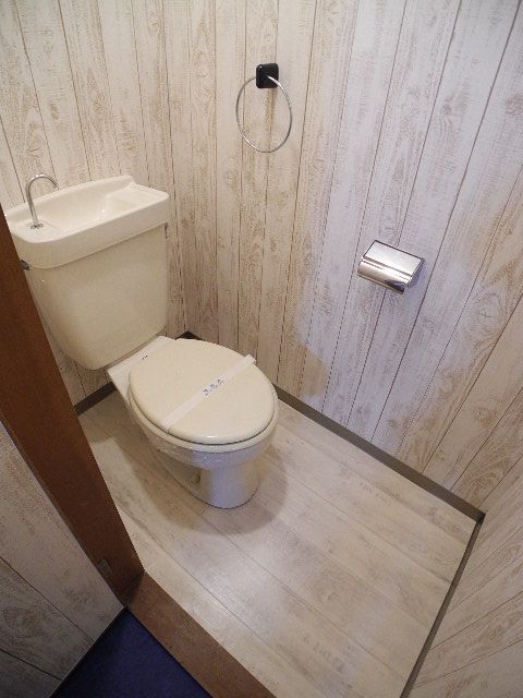 Toilet. Looking for room to house network Sakyo shop!