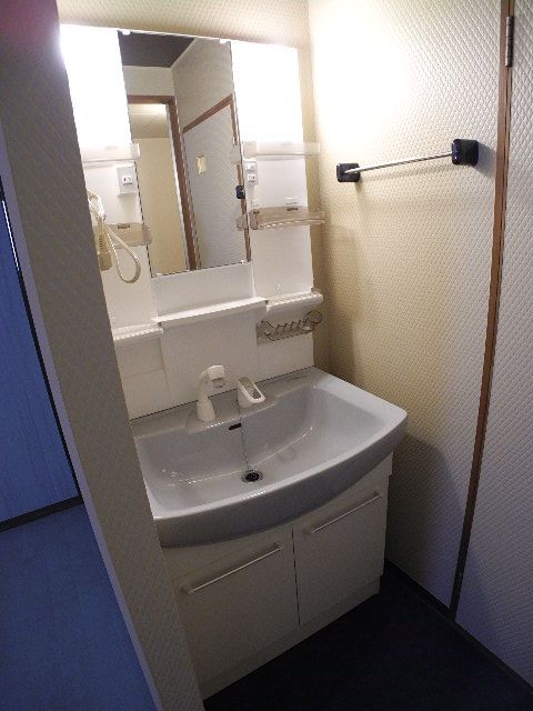 Washroom. Looking for room to house network Sakyo shop!