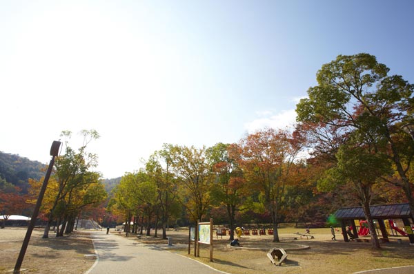 Walking and jogging, Birdwatching is also fun Mel, Vast site of Takaragaike Park (a 12-minute walk ・ About 890km). Kyoto International Conference Hall (walk 23 minutes ・ About 1.7km) is also adjacent