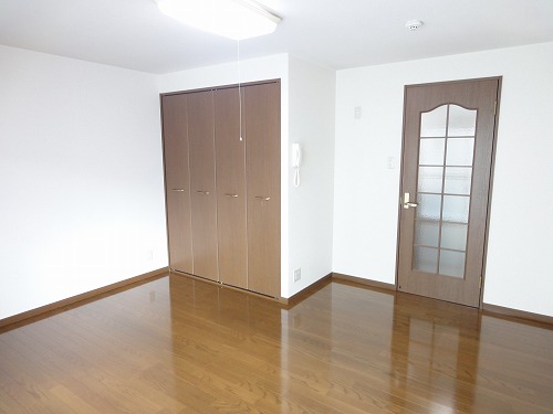 Living and room. Also jewels partition door between the kitchen (same apartment another room)