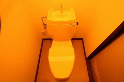 Toilet. Toilet