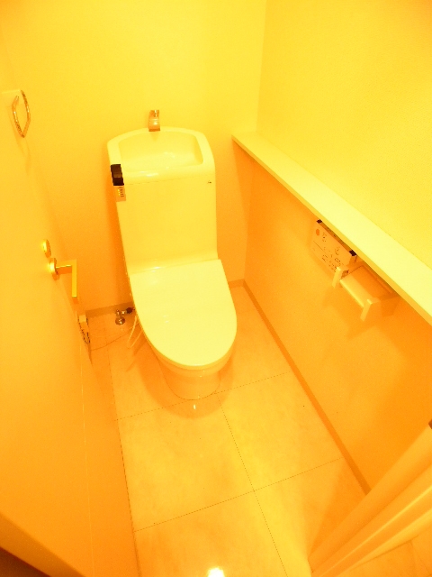 Toilet. Looking for room to house network Sakyo shop!