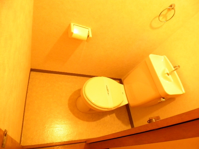 Toilet. Looking for a perfect room in your eyes!