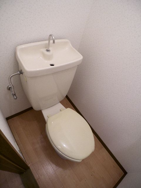 Toilet. Looking for room to house network Sakyo shop!