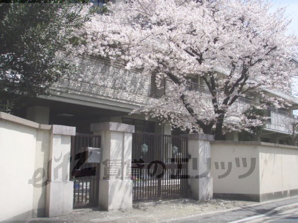 Primary school. 180m to Kyoto Municipal Shimogamo elementary school (elementary school)